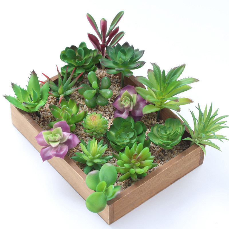 家の装飾のための人工多肉植物,庭の装飾のためのミニ盆栽,寝室 - Bonsai Garden Ideas のレビューと価格