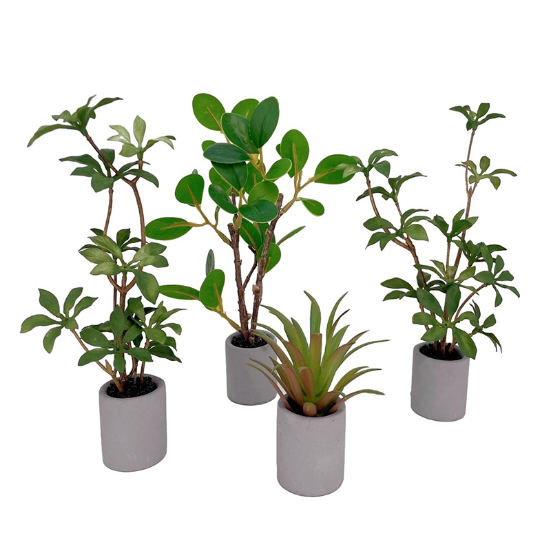 ドールハウスミニチュア鉢植え、緑の葉のポット、盆栽、家の庭の - Bonsai Garden Ideas のレビューと価格