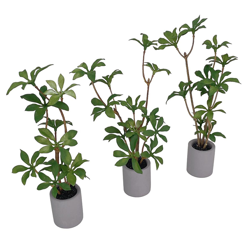 ドールハウスミニチュア鉢植え、緑の葉のポット、盆栽、家の庭の - Bonsai Garden Ideas のレビューと価格