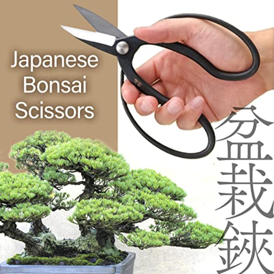 日本の水龍盆栽鋏 - 伝統的なハサミ剪定鋏、日本の盆栽園芸工 - Bonsai Garden Japan のレビューと価格