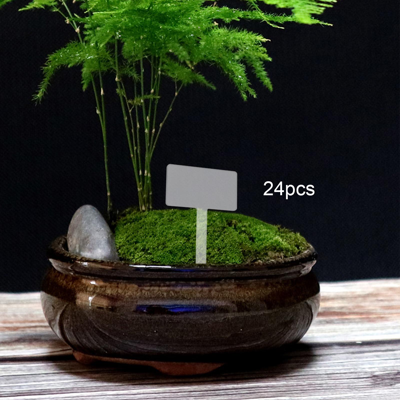 24x アクリル植物タグ植物名標識、再利用可能な植物マーカー - Bonsai Garden Name のレビューと価格